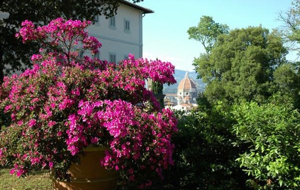 Formazione: a Firenze un corso per aspiranti garden designer